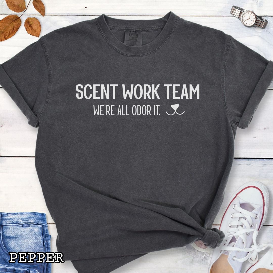 Dark grey Comfort Colors t-shirt for dog scent trainers with the humorous text 'Scent Work Team, We're All Odor It' in bold lettering, shown on a wooden surface with sunglasses, jeans, and sneakers.