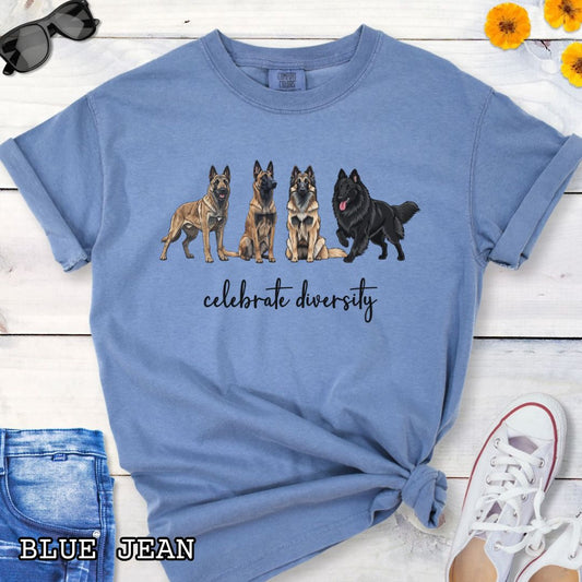 Blue Comfort Colors t-shirt with Belgian Laekenois, Sheepdog, Tervuren and Malinois dog illustrations and 'celebrate diversity' text on a wooden surface.