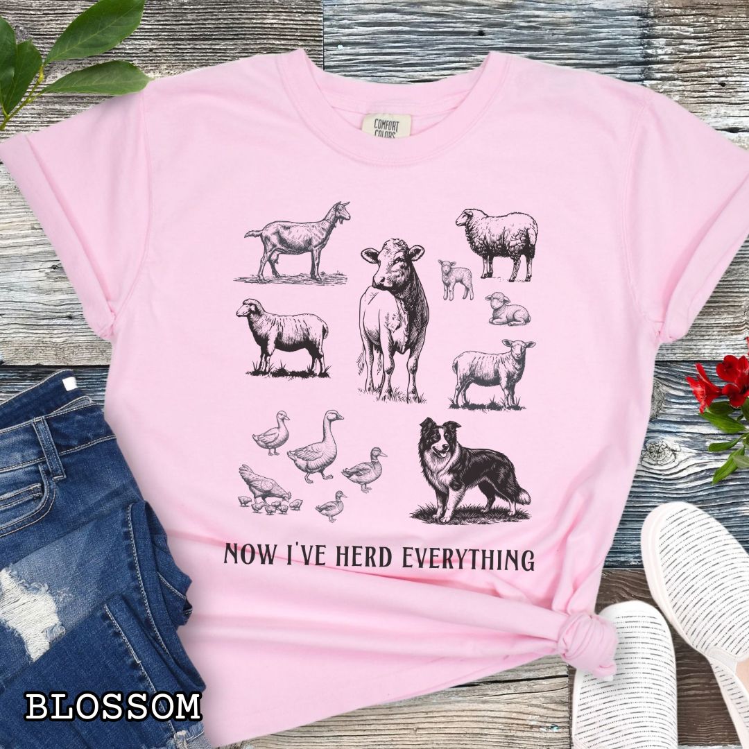 Pink Comfort Colors t-shirt for Border Collie lovers with vintage farm animal illustrations and a Border Collie dog, with the humorous text 'Now I've Herd Everything', shown on a wooden surface with denim jeans and flowers.