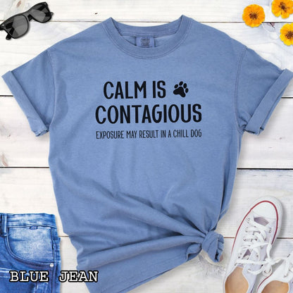 Blue Comfort Colors t-shirt for dog training enthusiasts with 'Calm is contagious, Exposure may result in a chill dog' text and a paw print, shown on a wooden surface with shoes and jeans.