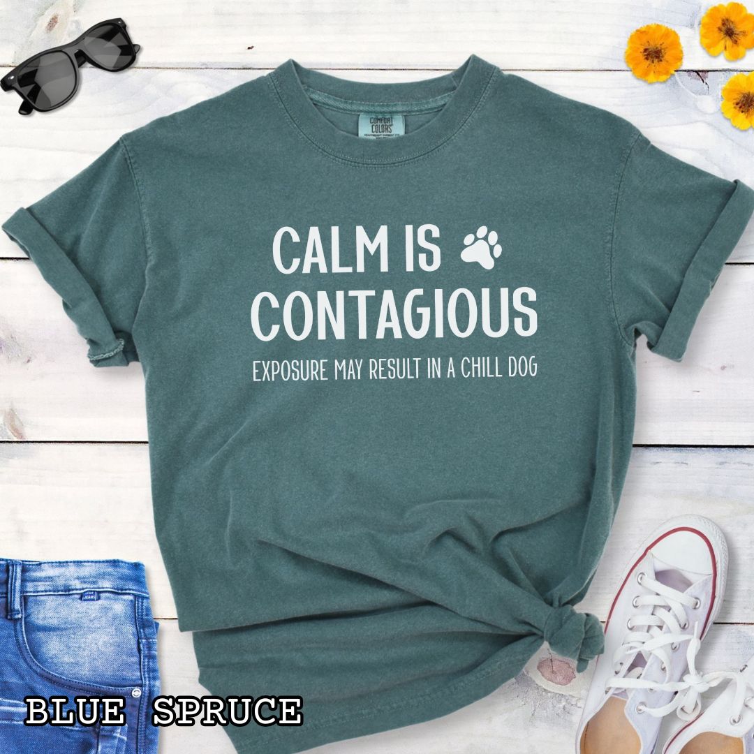 Green Comfort Colors t-shirt for dog trainers with 'Calm is contagious, Exposure may result in a chill dog' text and a paw print, shown on a wooden surface with shoes and jeans.