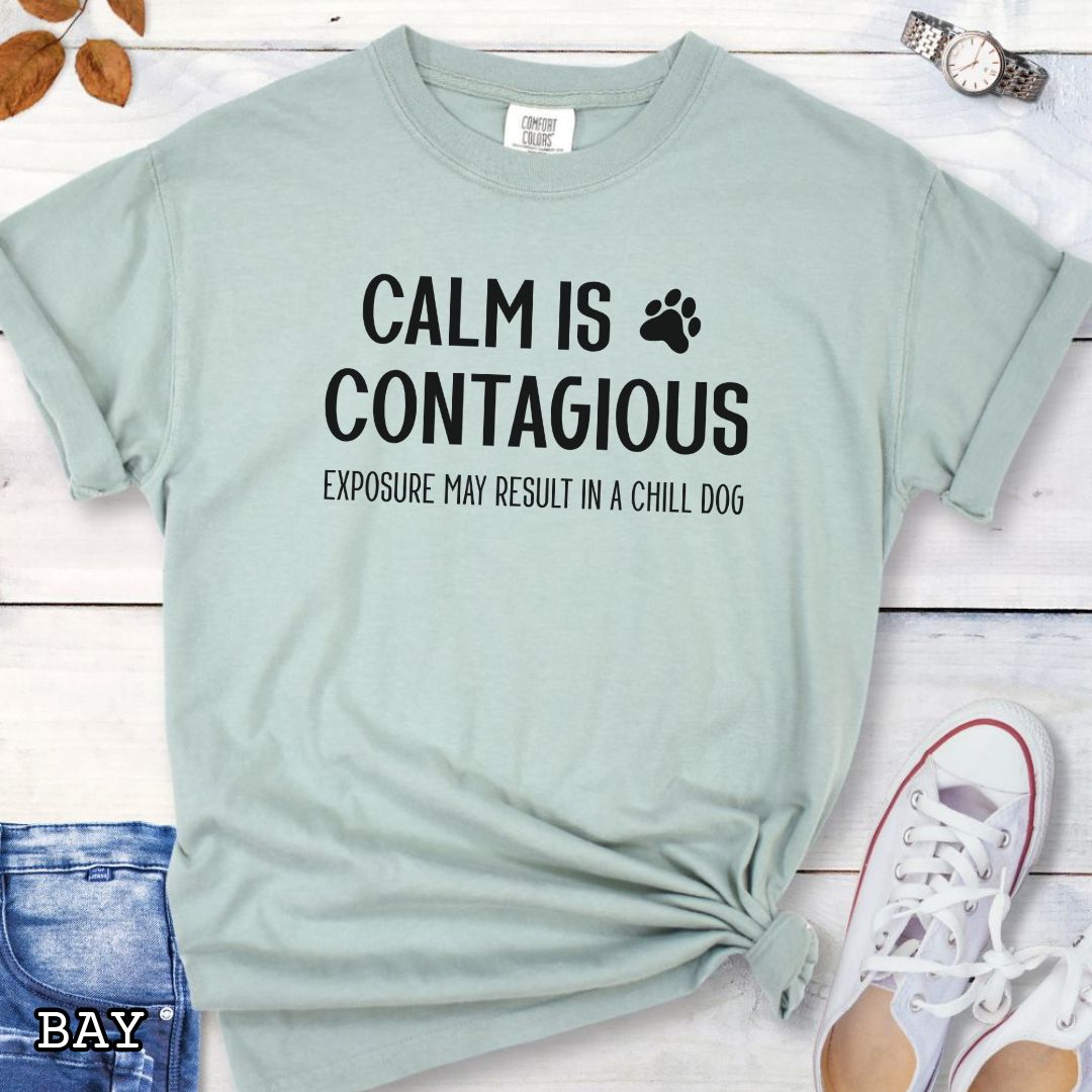 Light green Comfort Colors t-shirt for dog training enthusiasts with 'Calm is contagious, Exposure may result in a chill dog' text and a paw print, shown on a wooden surface with shoes and jeans.