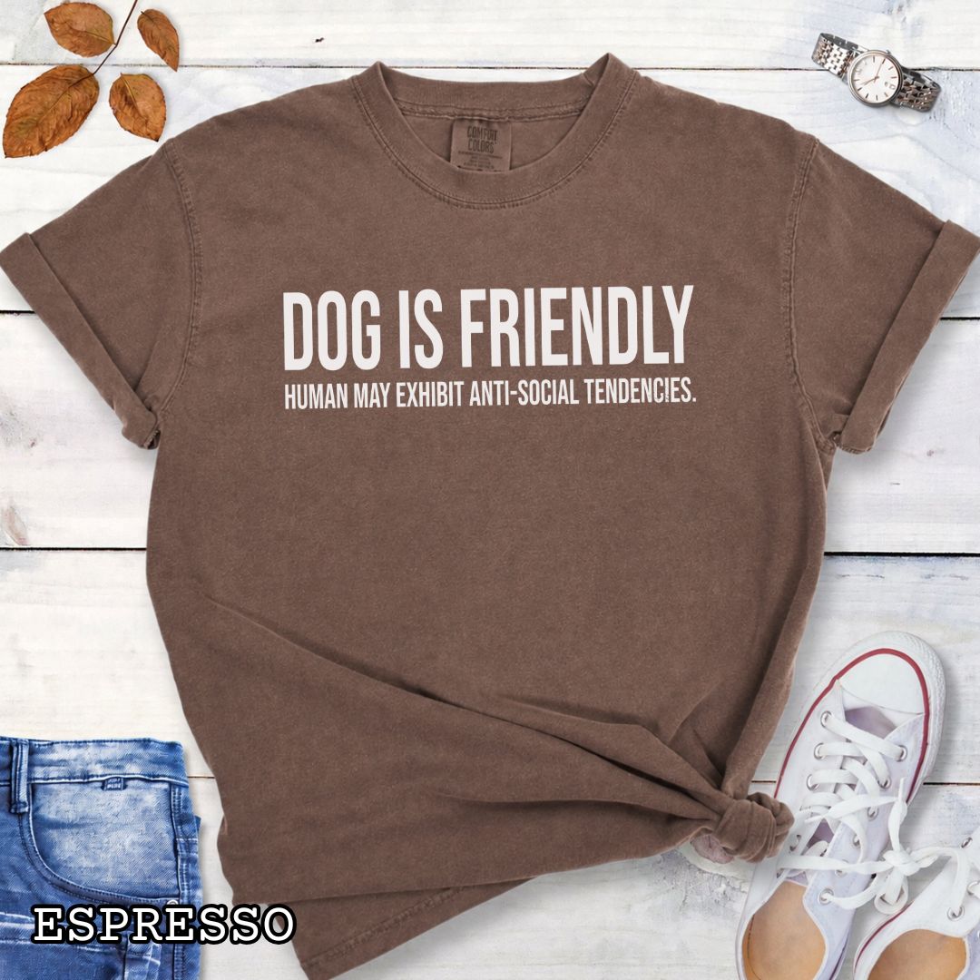 Brown Comfort Colors t-shirt for dog lovers with humorous text 'DOG IS FRIENDLY, Human May Exhibit Anti-Social Tendencies' in bold lettering, shown on a wooden surface with jeans and sneakers.