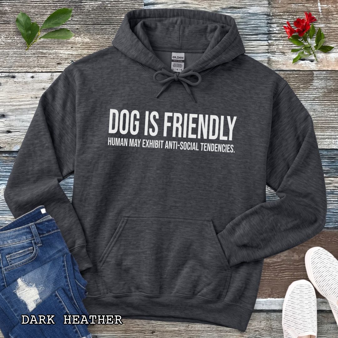 A dark grey pullover dog lover hoodie for introverts with bold, humorous text 'DOG IS FRIENDLY, HUMAN MAY EXHIBIT ANTI-SOCIAL TENDENCIES.' laid flat on a white wood background with decorative props including jeans, a watch, leaves, and sneakers.
