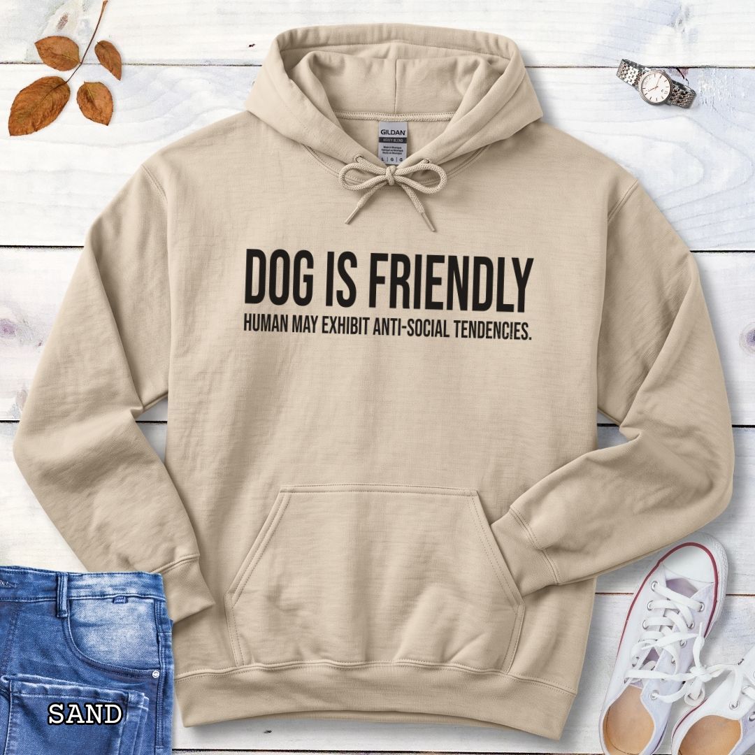 A beige pullover dog lover hoodie for introverts with bold, humorous text 'DOG IS FRIENDLY, HUMAN MAY EXHIBIT ANTI-SOCIAL TENDENCIES.' laid flat on a white wood background with decorative props including jeans, a watch, leaves, and sneakers.