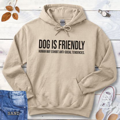 A beige pullover dog lover hoodie for introverts with bold, humorous text 'DOG IS FRIENDLY, HUMAN MAY EXHIBIT ANTI-SOCIAL TENDENCIES.' laid flat on a white wood background with decorative props including jeans, a watch, leaves, and sneakers.