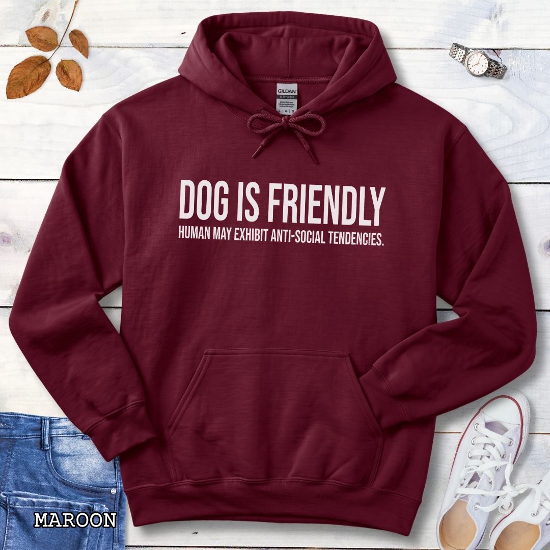 A maroon pullover dog lover hoodie for introverts with bold, humorous text 'DOG IS FRIENDLY, HUMAN MAY EXHIBIT ANTI-SOCIAL TENDENCIES.' laid flat on a white wood background with decorative props including jeans, a watch, leaves, and sneakers.