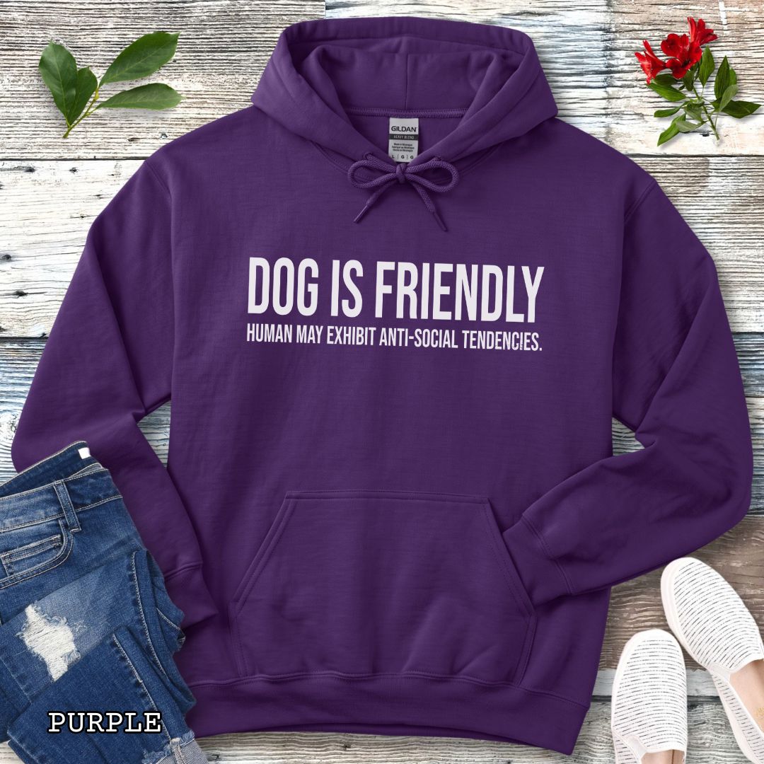 A purple pullover dog lover hoodie for introverts with bold, humorous text 'DOG IS FRIENDLY, HUMAN MAY EXHIBIT ANTI-SOCIAL TENDENCIES.' laid flat on a white wood background with decorative props including jeans, a watch, leaves, and sneakers.