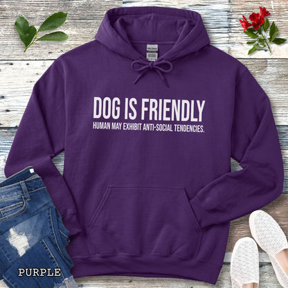 A purple pullover dog lover hoodie for introverts with bold, humorous text 'DOG IS FRIENDLY, HUMAN MAY EXHIBIT ANTI-SOCIAL TENDENCIES.' laid flat on a white wood background with decorative props including jeans, a watch, leaves, and sneakers.