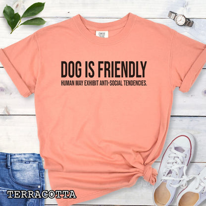 Terracotta color Comfort Colors t-shirt for dog lovers with humorous text 'DOG IS FRIENDLY, Human May Exhibit Anti-Social Tendencies' in bold lettering, shown on a wooden surface with jeans and sneakers.