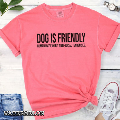 Watermelon color Comfort Colors t-shirt for dog lovers with humorous text 'DOG IS FRIENDLY, Human May Exhibit Anti-Social Tendencies' in bold lettering, shown on a wooden surface with jeans and sneakers.