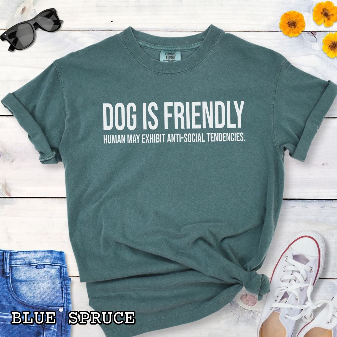Green Comfort Colors t-shirt for dog lovers with humorous text 'DOG IS FRIENDLY, Human May Exhibit Anti-Social Tendencies' in bold lettering, shown on a wooden surface with jeans and sneakers.