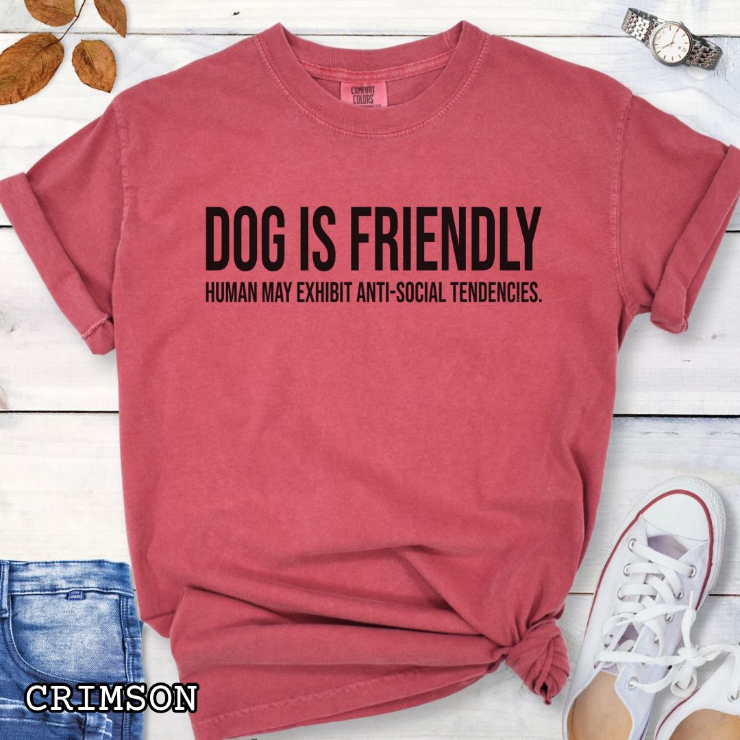 Red Comfort Colors t-shirt for dog lovers with humorous text 'DOG IS FRIENDLY, Human May Exhibit Anti-Social Tendencies' in bold lettering, shown on a wooden surface with jeans and sneakers.