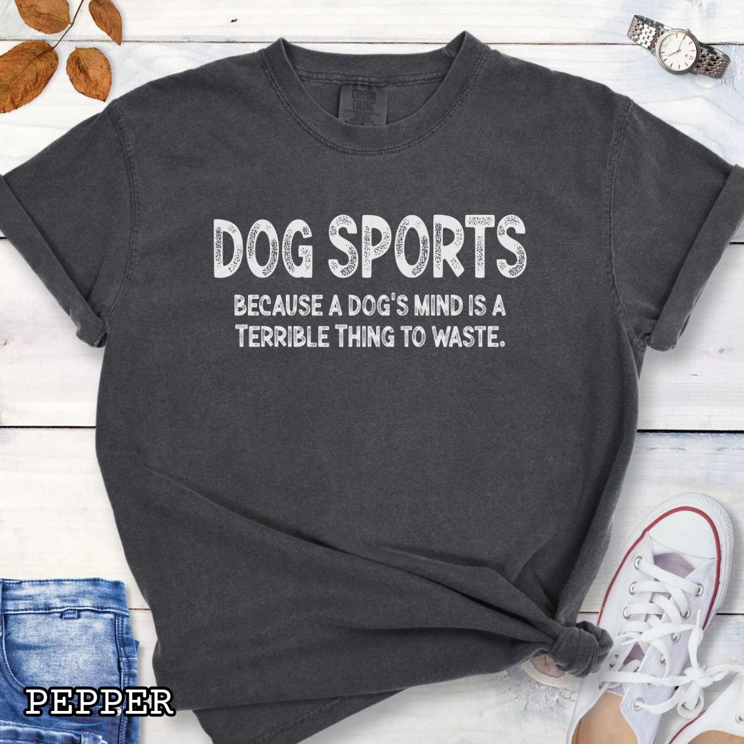 Dark gray Comfort Colors t-shirt for agility, nosework, obedience, flyball and more, with 'Dog Sports, because a dog's mind is a terrible thing to waste' text, shown on a wooden surface with shoes and jeans.