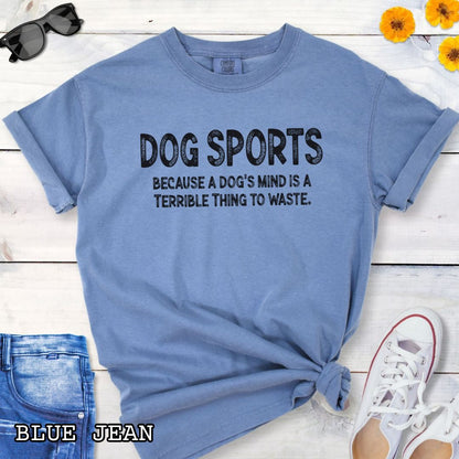 Blue Comfort Colors t-shirt for agility, nosework, obedience, flyball and more, with 'Dog Sports, because a dog's mind is a terrible thing to waste' text, shown on a wooden surface with shoes and jeans.