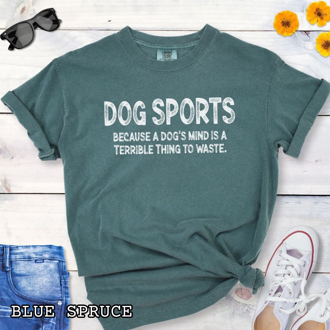 Green Comfort Colors t-shirt for agility, nosework, obedience, flyball and more, with 'Dog Sports, because a dog's mind is a terrible thing to waste' text, shown on a wooden surface with shoes and jeans.