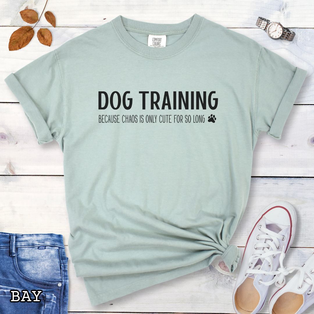 Light green (Bay) Comfort Colors t-shirt with 'Dog Training, Because Chaos is Only Cute For So Long' text and a small paw print, on a wooden surface with jeans and sneakers.