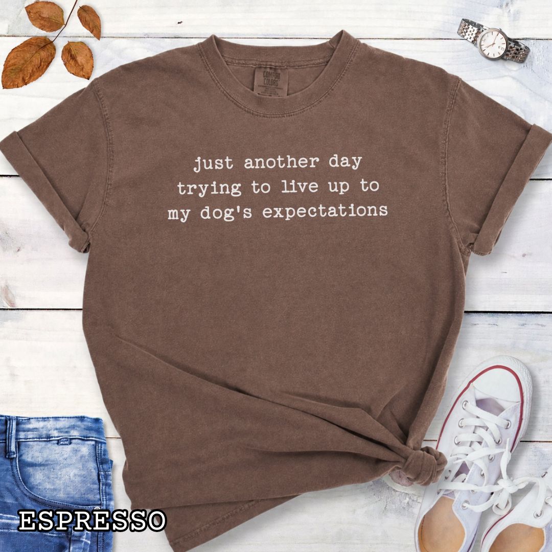 Brown Comfort Colors t-shirt featuring funny sarcastic 'Just Another Day Trying to Live Up to My Dog’s Expectations' quote, perfect humorous dog lover shirt for dog moms, dog dads, and pet parent gifts.