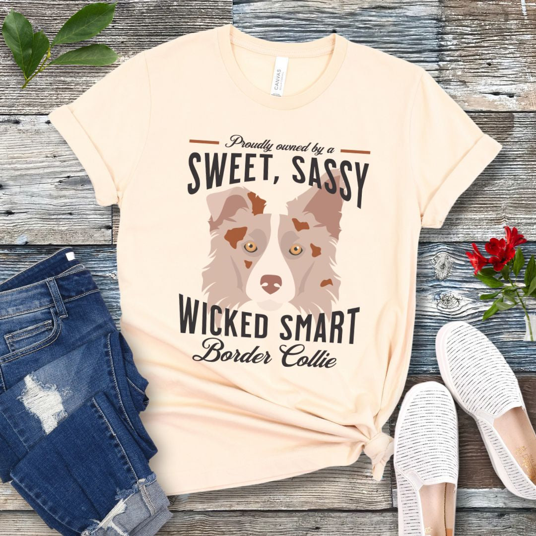 Beige t-shirt for Border Collie lovers with a graphic of a Red Merle Border Collie face and the humorous text, 'Proudly Owned By a Sweet, Sassy, Wicked Smart Border Collie' on a wooden surface with jeans and shoes.