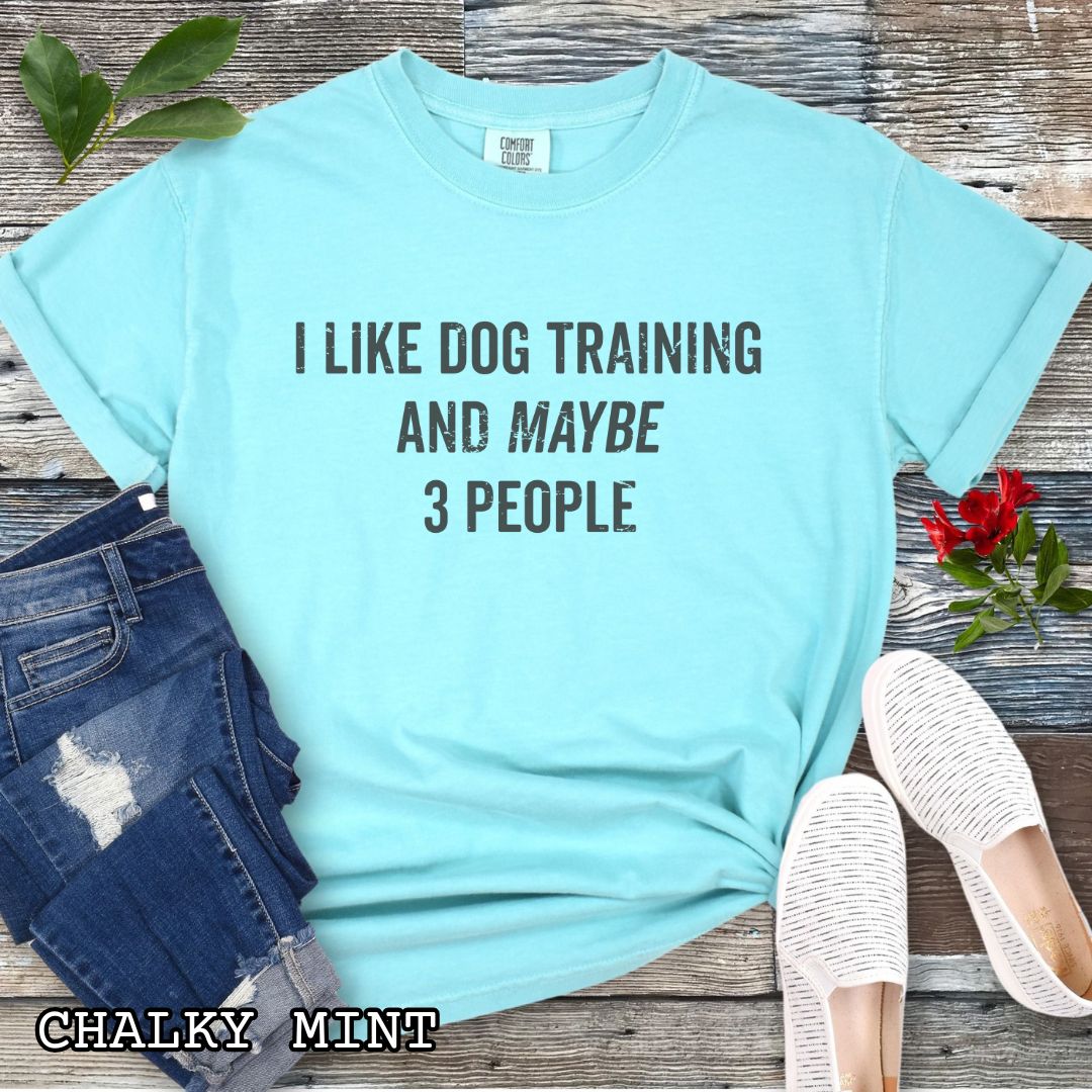 Green (Chalky Mint) Comfort Colors t-shirt with 'I like dog training and maybe 3 people' text, presented on a wooden surface with shoes and jeans.