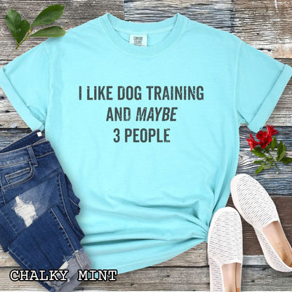 Green (Chalky Mint) Comfort Colors t-shirt with 'I like dog training and maybe 3 people' text, presented on a wooden surface with shoes and jeans.