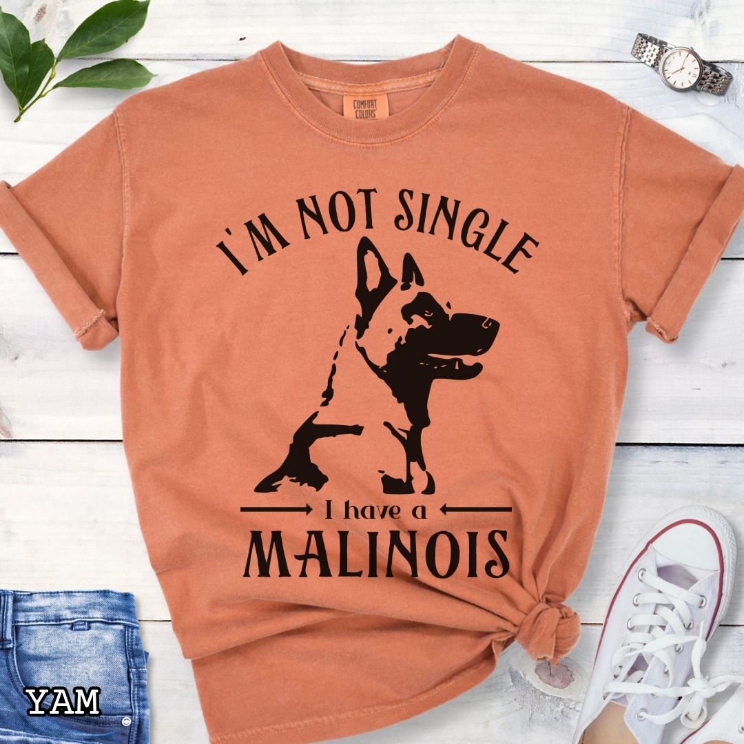 Orange Comfort Colors t-shirt with a woodcut-style Belgian Malinois graphic and the humorous text 'I'm Not Single, I Have a Malinois', shown on a wooden surface with accessories.