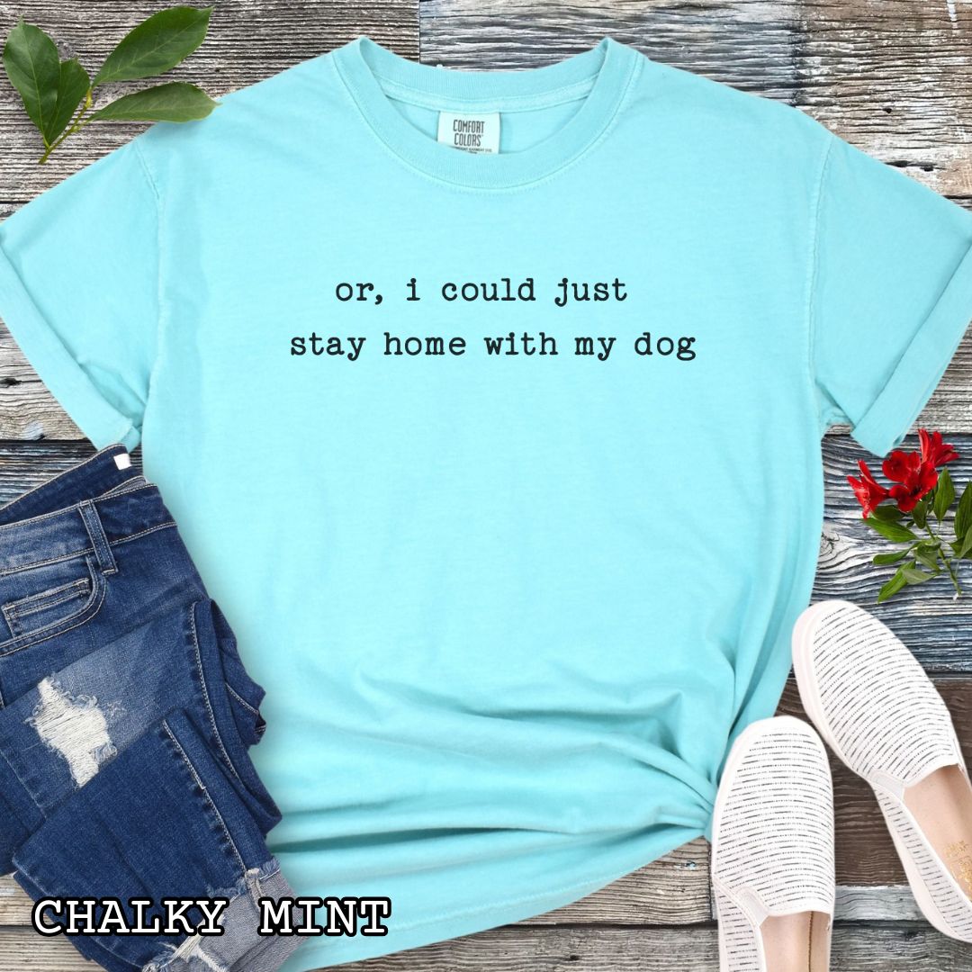 Mint Comfort Colors t-shirt for anti-social dog moms with humorous text, 'or, i could just stay home with my dog' in minimalist typewriter lettering, shown on a wooden surface with accessories.