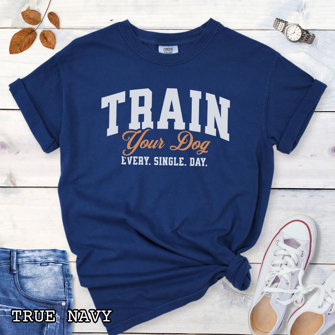 Blue Comfort Colors t-shirt for dog training enthusiasts with 'TRAIN Your Dog EVERY. SINGLE. DAY.' text in bold athletic style lettering, shown on a wooden surface with jeans and shoes.